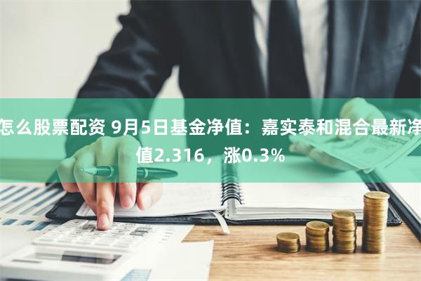 怎么股票配资 9月5日基金净值：嘉实泰和混合最新净值2.316，涨0.3%