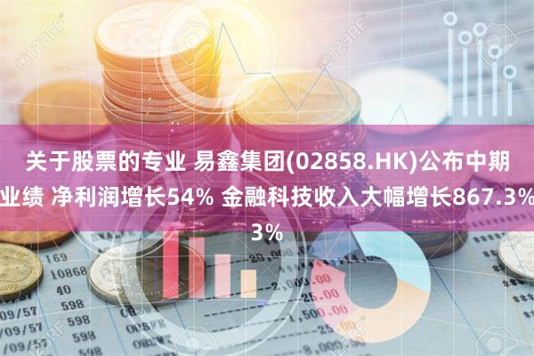 关于股票的专业 易鑫集团(02858.HK)公布中期业绩 净利润增长54% 金融科技收入大幅增长867.3%