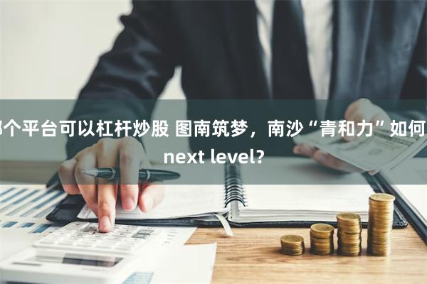 哪个平台可以杠杆炒股 图南筑梦，南沙“青和力”如何到next level？