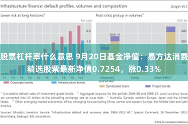 股票杠杆率什么意思 9月20日基金净值：易方达消费精选股票最新净值0.7254，涨0.33%