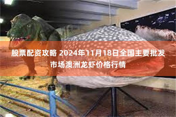 股票配资攻略 2024年11月18日全国主要批发市场澳洲龙虾价格行情