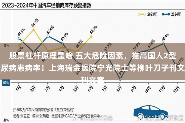 股票杠杆原理是啥 五大危险因素，推高国人2型糖尿病患病率！上海瑞金医院宁光院士等柳叶刀子刊文章