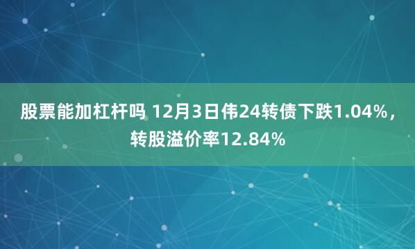 股票能加杠杆吗 12月3日伟24转债下跌1.04%，转股溢价率12.84%