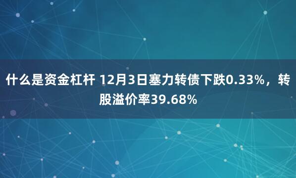 什么是资金杠杆 12月3日塞力转债下跌0.33%，转股溢价率39.68%