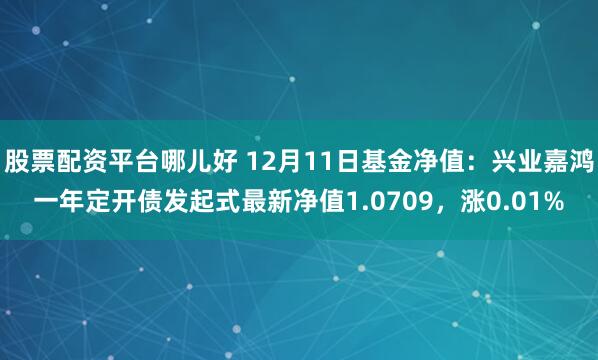 股票配资平台哪儿好 12月11日基金净值：兴业嘉鸿一年定开债发起式最新净值1.0709，涨0.01%