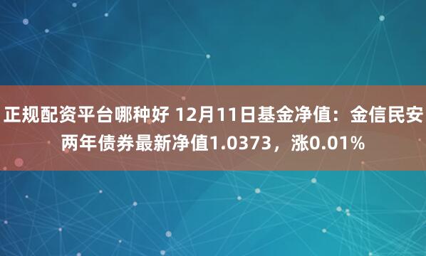 正规配资平台哪种好 12月11日基金净值：金信民安两年债券最新净值1.0373，涨0.01%