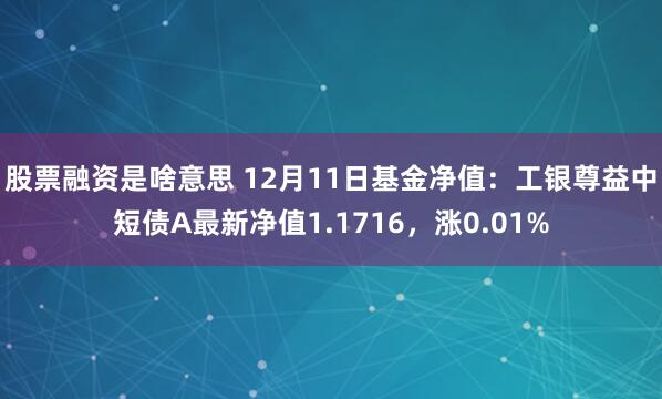 股票融资是啥意思 12月11日基金净值：工银尊益中短债A最新净值1.1716，涨0.01%