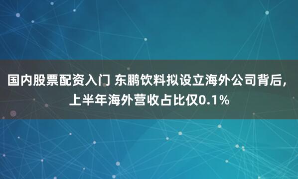 国内股票配资入门 东鹏饮料拟设立海外公司背后, 上半年海外营收占比仅0.1%