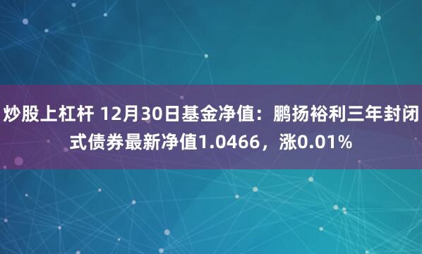 炒股上杠杆 12月30日基金净值：鹏扬裕利三年封闭式债券最新净值1.0466，涨0.01%