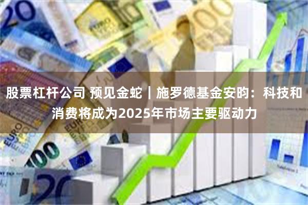 股票杠杆公司 预见金蛇｜施罗德基金安昀：科技和消费将成为2025年市场主要驱动力