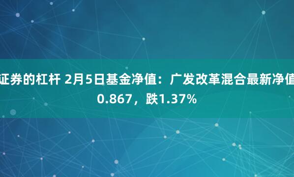 证券的杠杆 2月5日基金净值：广发改革混合最新净值0.867，跌1.37%