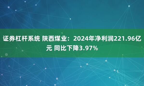 证券杠杆系统 陕西煤业：2024年净利润221.96亿元 同比下降3.97%