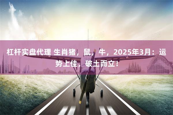 杠杆实盘代理 生肖猪，鼠，牛，2025年3月：运势上佳，破土而立！