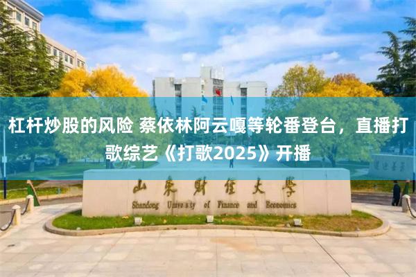 杠杆炒股的风险 蔡依林阿云嘎等轮番登台，直播打歌综艺《打歌2025》开播