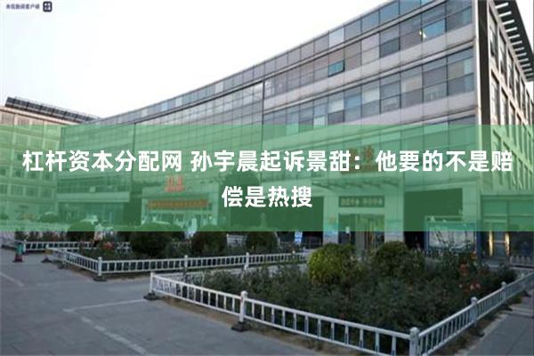 杠杆资本分配网 孙宇晨起诉景甜：他要的不是赔偿是热搜