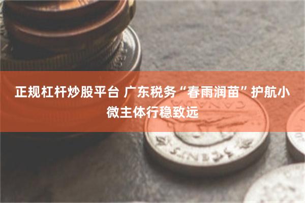 正规杠杆炒股平台 广东税务“春雨润苗”护航小微主体行稳致远