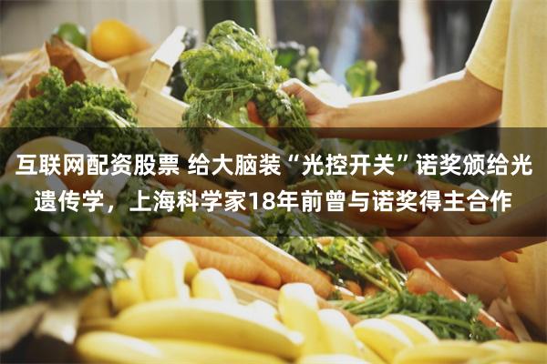 互联网配资股票 给大脑装“光控开关”诺奖颁给光遗传学，上海科学家18年前曾与诺奖得主合作